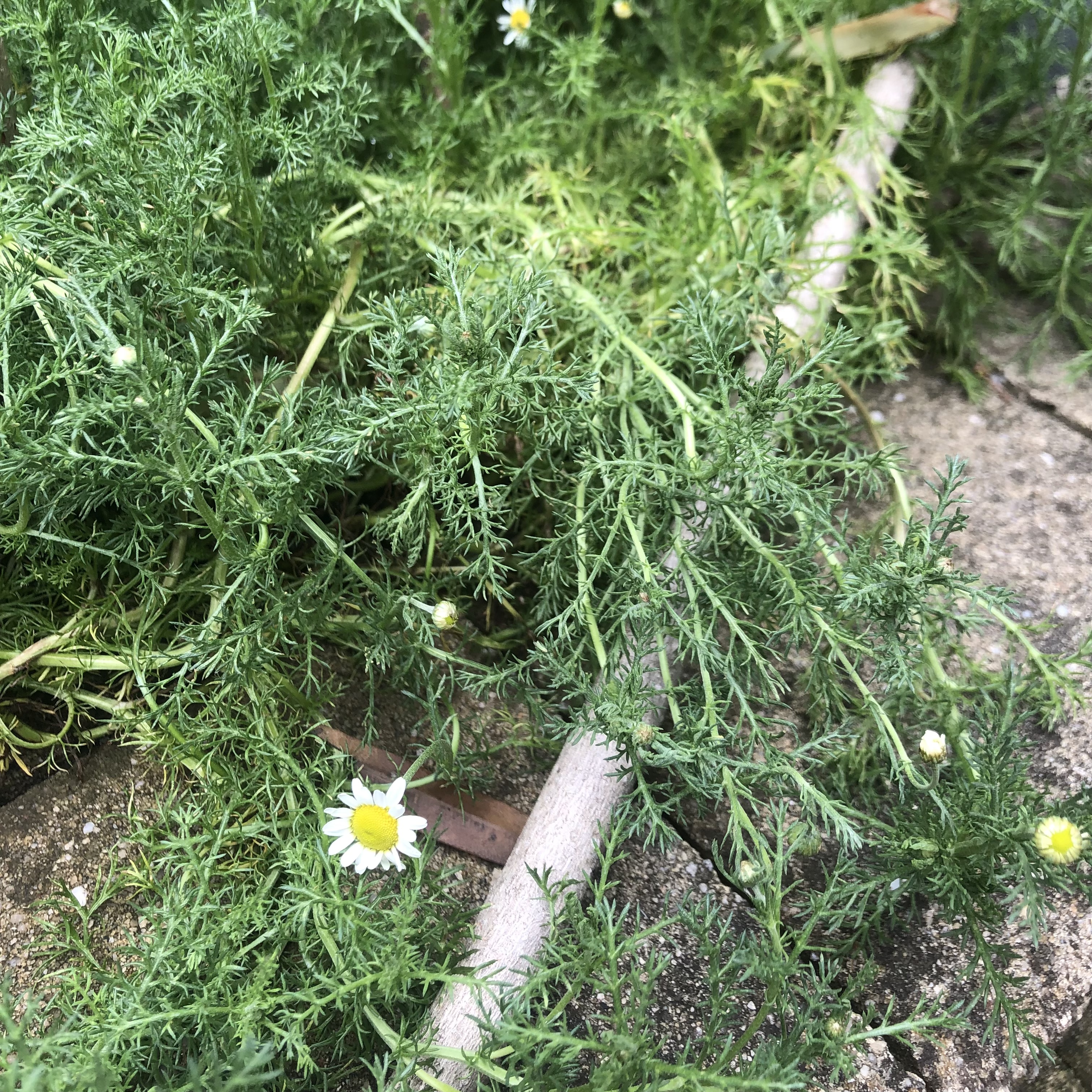 Featured image for Document 0